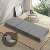 Bedra Folding Foam Mattress Trifold Camping Cushion Mat Single