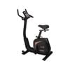 York LC-UB Upright Bike