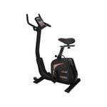 York LC-UB Upright Bike