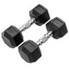 METEOR 8kg Pair Rubber Hex Dumbbells