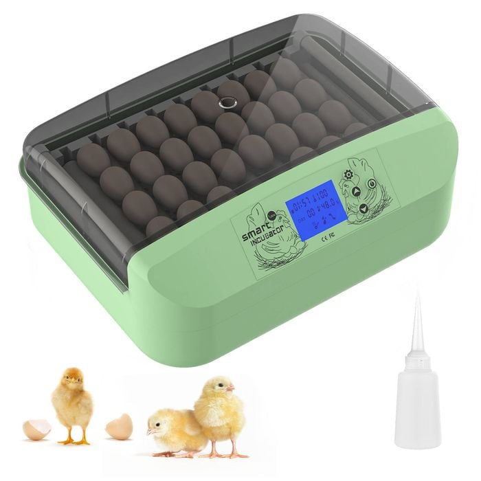 Advwin 32 Egg Incubator for Chicken Hatching Automatic Egg Turner