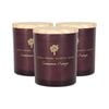 3x Soy Wax Scented Candles - 130g - Cinnamon & Orange - Festive Spiced Scent Glass Jars Long Burn Fragrance Set