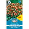 Mr Fothergill's Gaillardia Goblin Seeds