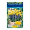 Patio Planter - 20 Bulbs