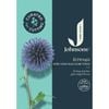 Johnsons Curated For Cutting Echinops Ritro Violet Blue 'Globe Thistle'