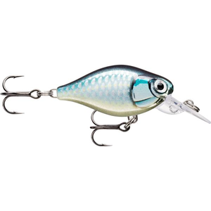 Rapala XLight Finesse Crank Mid Runner Hard Body Fishing Lure Baby Aspius