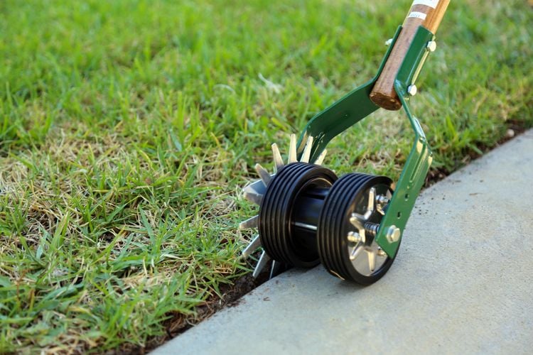 A lawn fringe being maintained by an edger