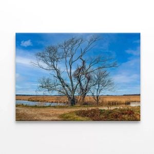 Couple of Trees Grows In a Field  Print 100% Australian Made 90 x 60cm  (Stretched)