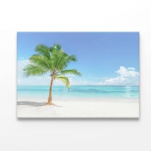 Single Coconut Tree Beach  Print 100% Australian Made 50 x 40cm  (Acrylic)