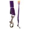 Dog Leash Lead Reflective Nylon - Purple - 25mm x 150cm (Pet One)