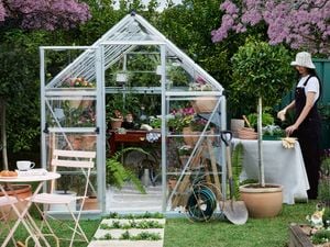 Woman at a table holding plant pots standing next to a greenhouse in a garden full of colourful plants and flowers.