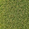 DIY Turf 1m x 5m 10mm Pile Total Turf Synthetic Turf Prepacked Roll