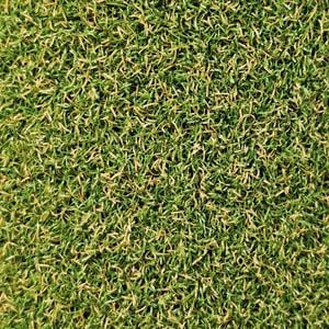DIY Turf 1m x 5m 10mm Pile Total Turf Synthetic Turf Prepacked Roll