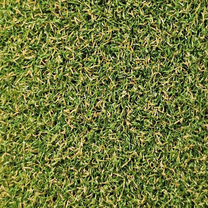 DIY Turf 1m x 5m 10mm Pile Total Turf Synthetic Turf Prepacked Roll