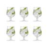 Tulip Glass Set Of 6 480ml Cellar