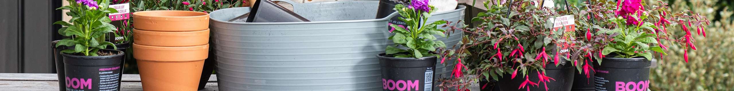 Assorted pots and plants