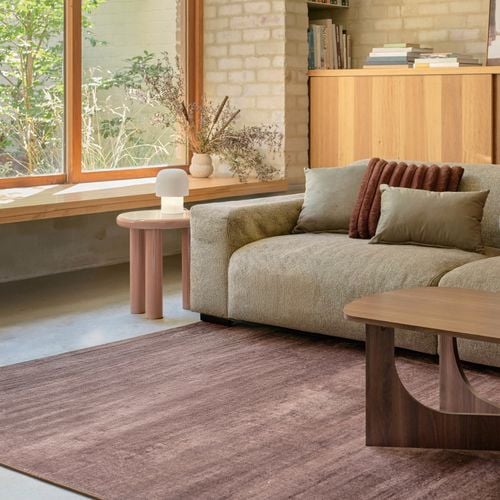 Warm, modern living room with a neutral sofa, cushions, wooden coffee table, indoor plants, and a dog resting on a pet bed near the sofa.