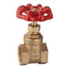 Kinetic 20mm Brass Universal Thread Gate Valve