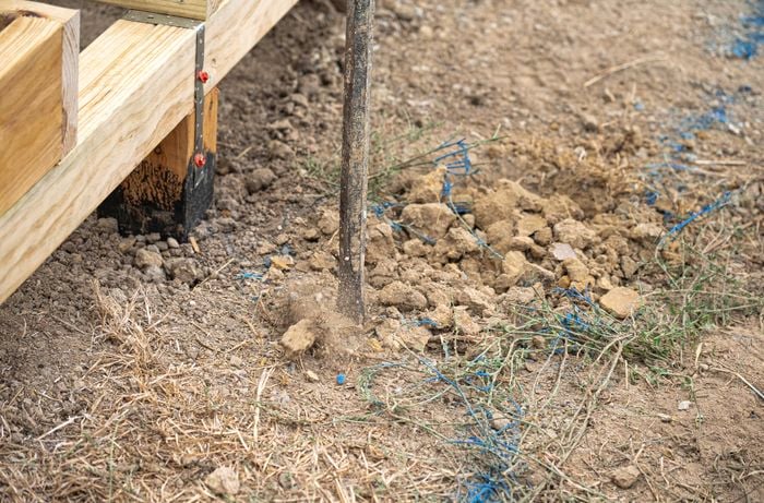 Holes for stumped being dug