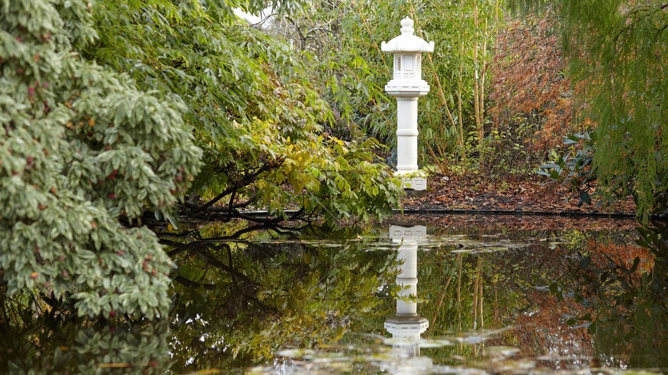 Water feature next to trees.