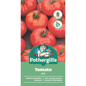 Fothergill's KY1 Tomato Seeds