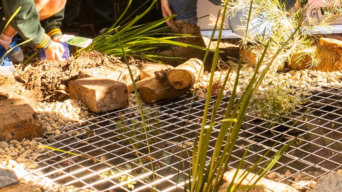 Garden pond area with wiring sitting over a hole and various sized stones on the perimeter.