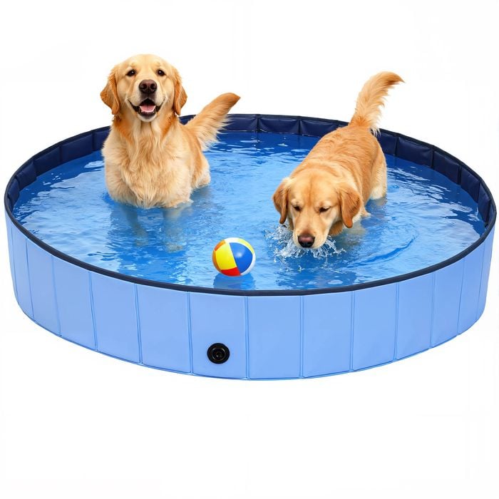 Advwin Dog Pool Foldable Pet Swimming Pool Dog Bath Tub Shower