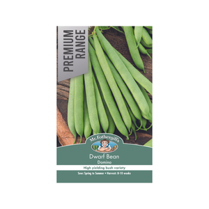 Mr Fothergill's Dwarf Domino Bean Seeds