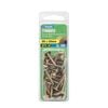Zenith 8G x 25mm Gold Passivated Timber Button Head Stitching Screw - 30 Pack
