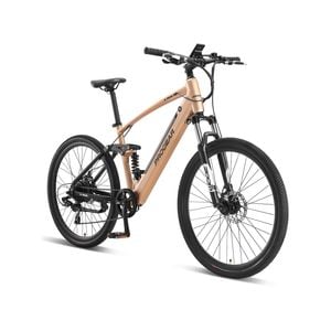 Electric Mountain Bikes