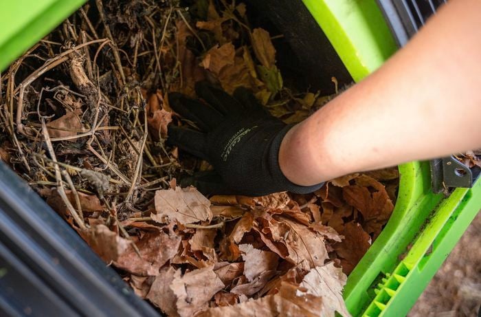 Adding garden leaves to compost bin.