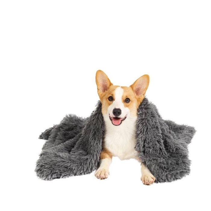 Yes4pets Pet Blanket Dog Cat Rug Puppy Kitten Calming Plush Soft Warmth Fleece 78x54 Cm