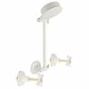 Shaw & Mason Ivory Shower Set