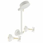 Shaw & Mason Ivory Shower Set
