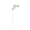 Artificial Flower White 75cm White Orchid