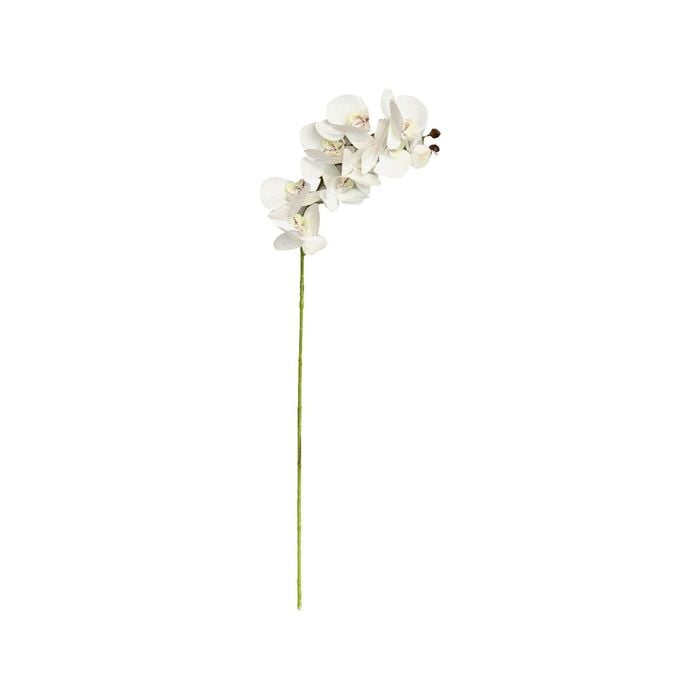 Artificial Flower White 75cm White Orchid