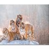 Siberian Tiger & Winter Forest  Print 100% Australian Made 120 x 90cm  (Stretched)