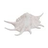 Lvd Large Spiny Sea Shell Resin Creature Statue Home Decor 30.5x17x8.5cm
