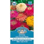 Mr Fothergill's Zinnia Early Wonder Seeds