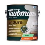 Taubmans 4L Accent Low Sheen Endure Interior Walls Paint