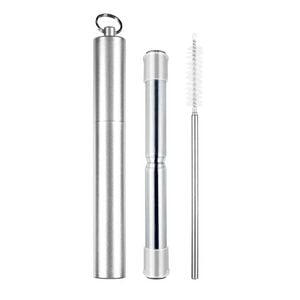 Avanti Stainless Steel Telescopic Travel Straws Foldable w/ Loop Ring Assorted