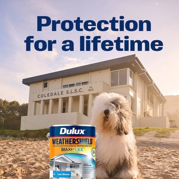 Brand page - Dulux - SideBySide - BunningsBannerResize_Weathershield_1950x900px_AW04_With Headline