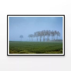 Grassy Field with Trees & Mist  Print 100% Australian Made 90x60cm  (Poster)
