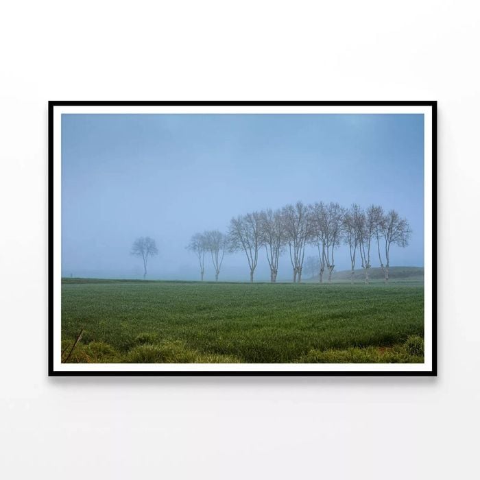 Grassy Field with Trees & Mist  Print 100% Australian Made 90x60cm  (Poster)