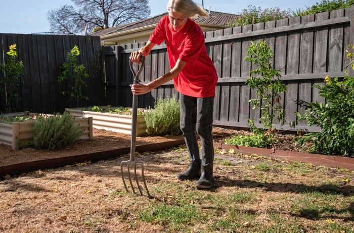 6. Revitalise your lawn.jpg
