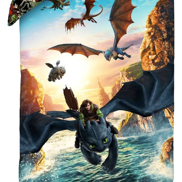 Dreamworks How To Train Your Dragon Quilt Cover Set Single Bed Size - Polyester