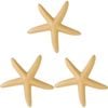 3PK LVD Starfish Ceramic Figurine Home/Lounge Decor Medium Spice