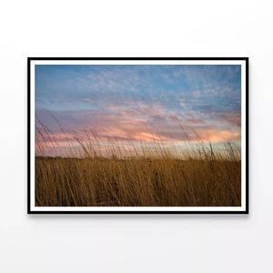 Sunset over Grasses with Sky  Print 100% Australian Made 120x90cm  (Poster)