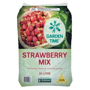 Garden Time 30L Strawberry Mix