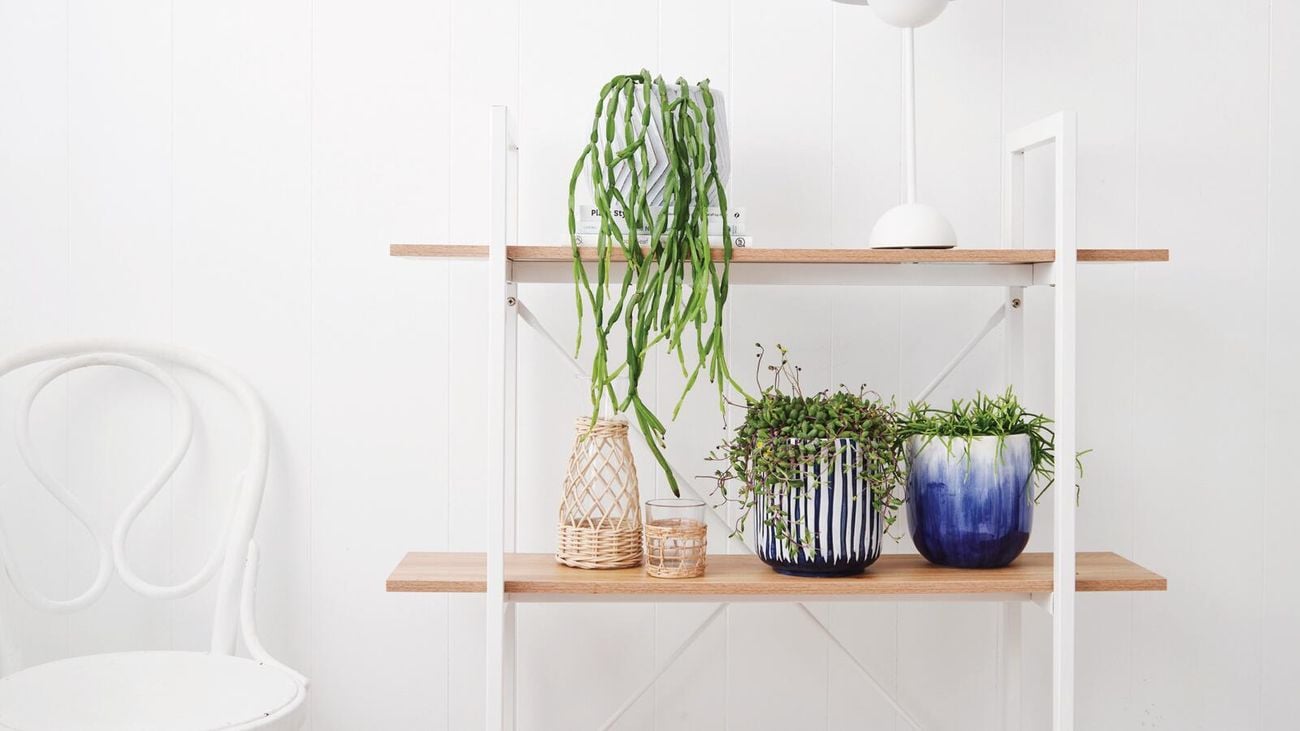 Pots on a display shelf